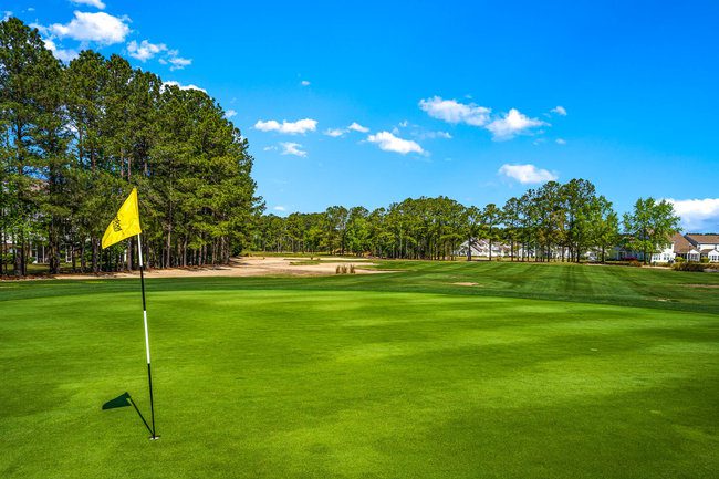 031_dsc02639-edit_271