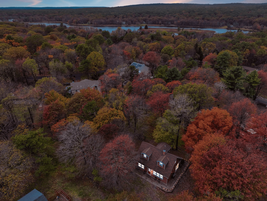 Screenshot 2026-02-07 125938