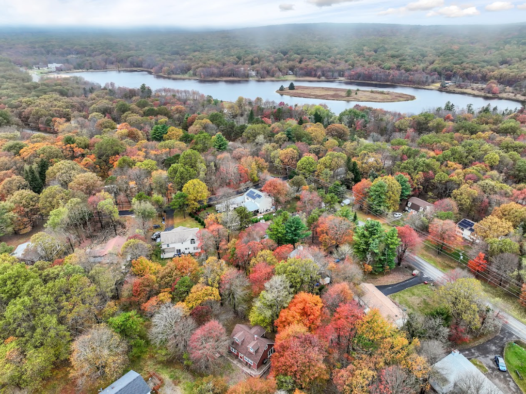 Screenshot 2026-02-07 125946