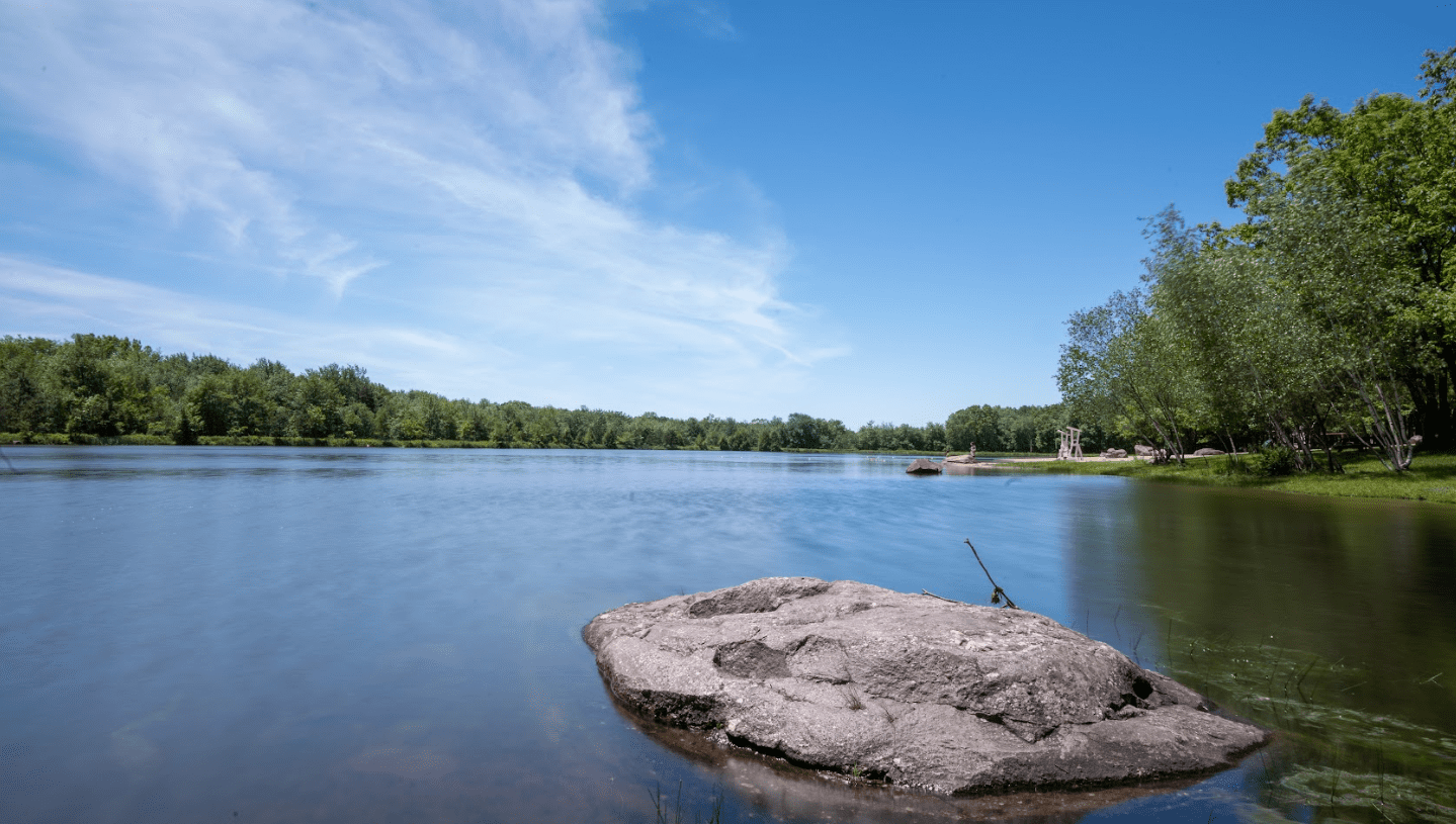 Screenshot 2026-02-07 130216