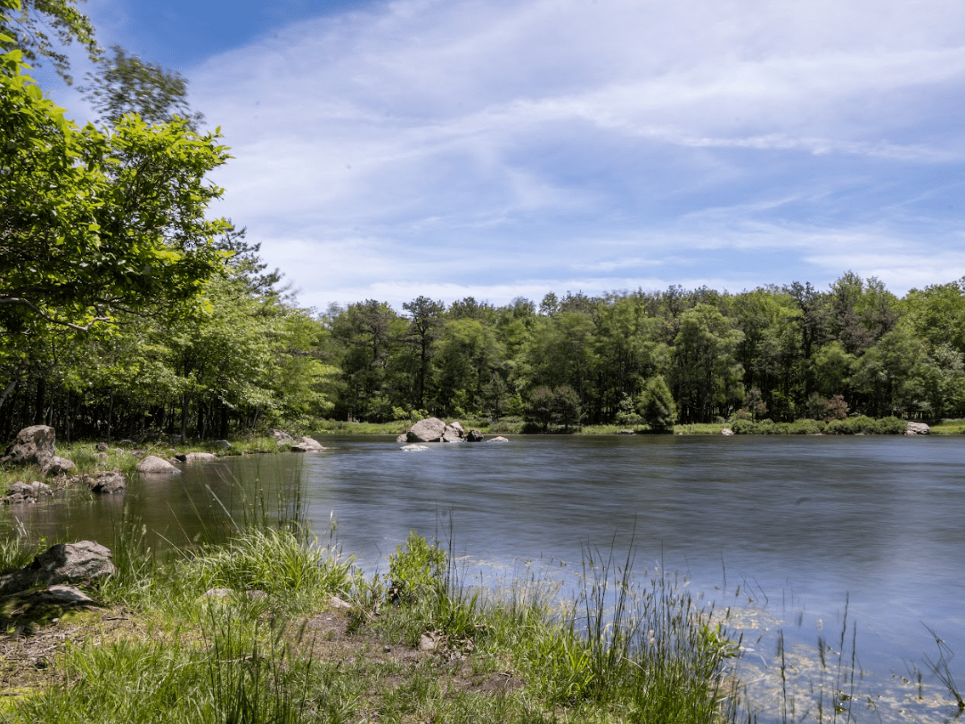 Screenshot 2026-02-07 130226