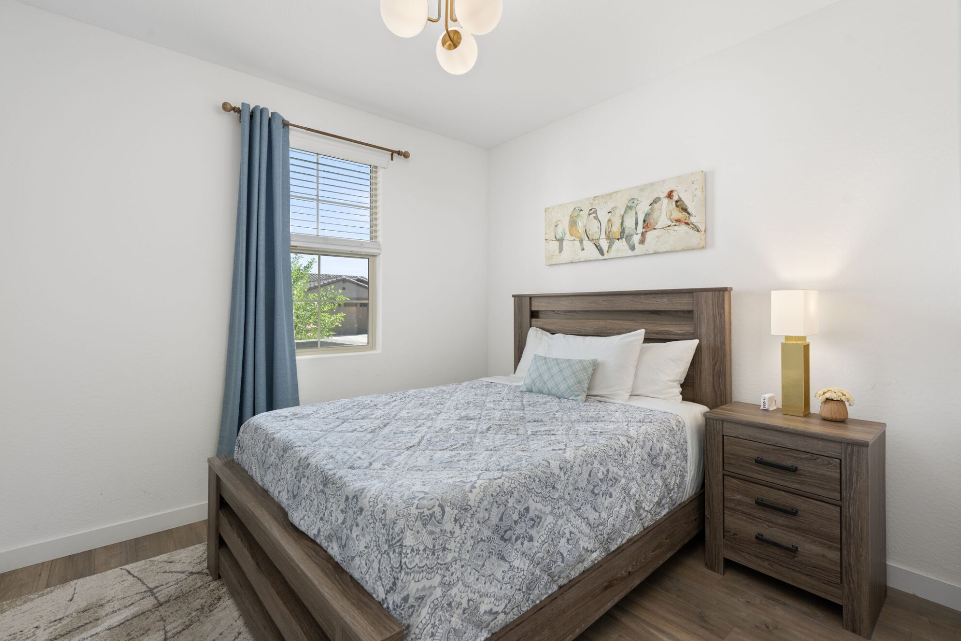 18-web-or-mls-DSC09733