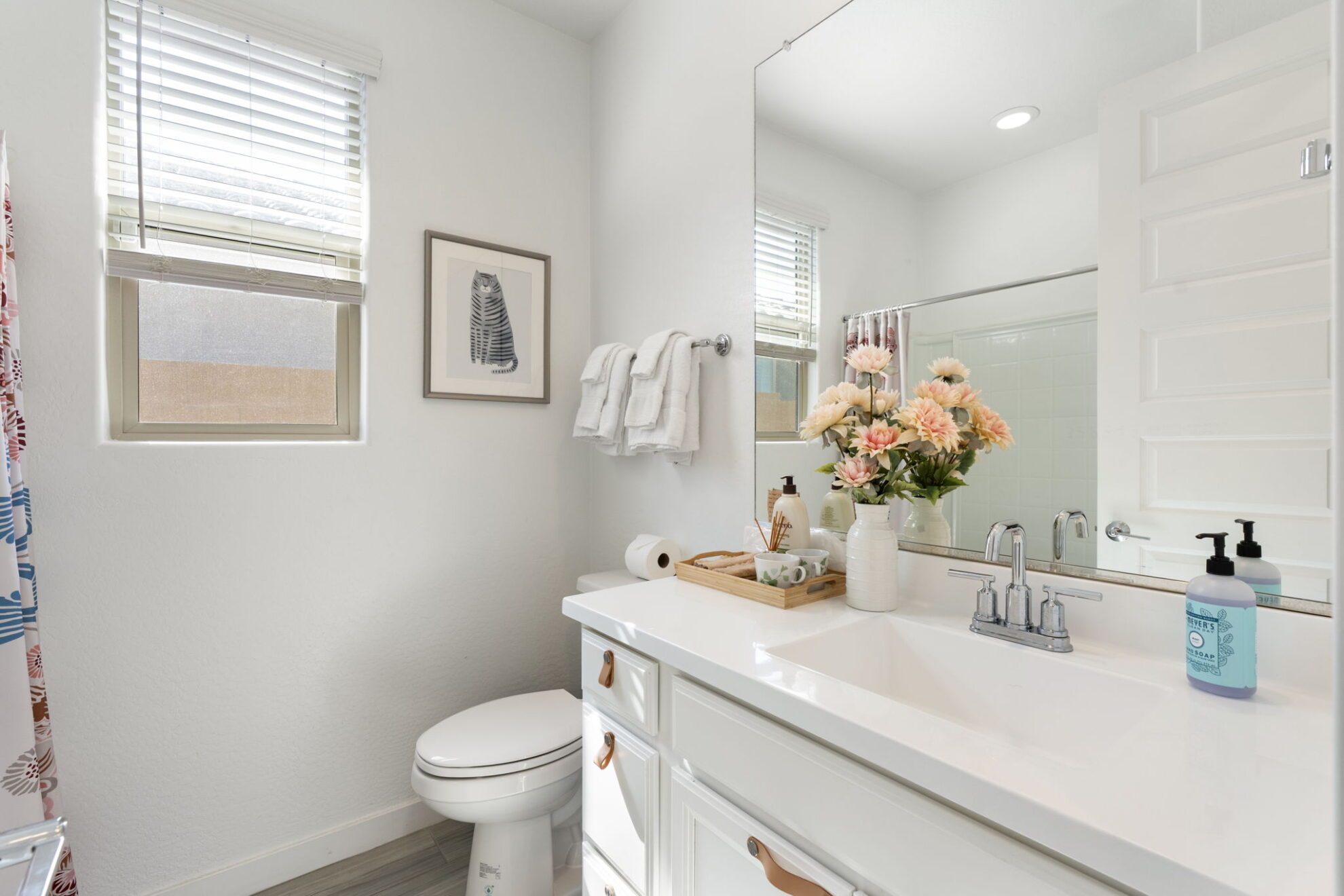 20-web-or-mls-DSC09741