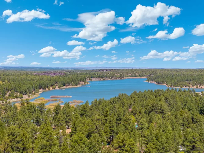 Entire home in Show Low, Arizona, United States